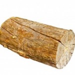 A standard and timeless log.